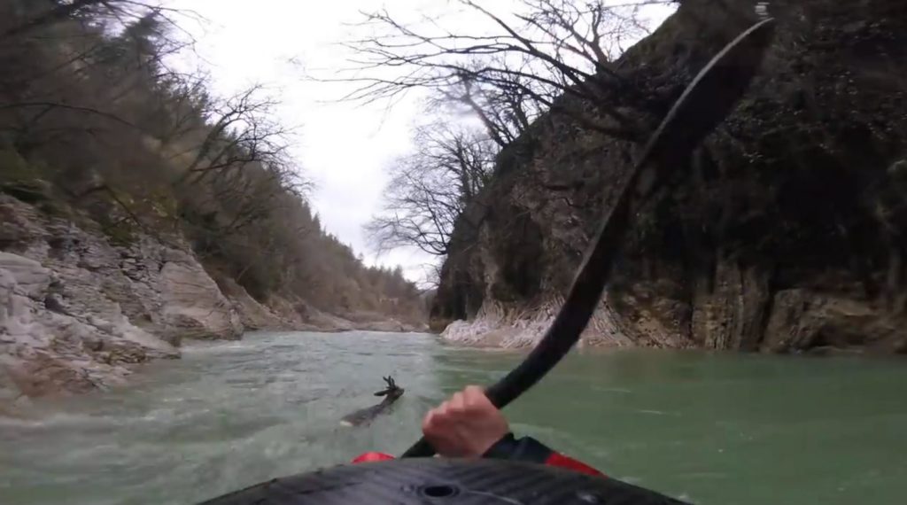 Des kayakistes sauvent un chevreuil de la noyade en Italie