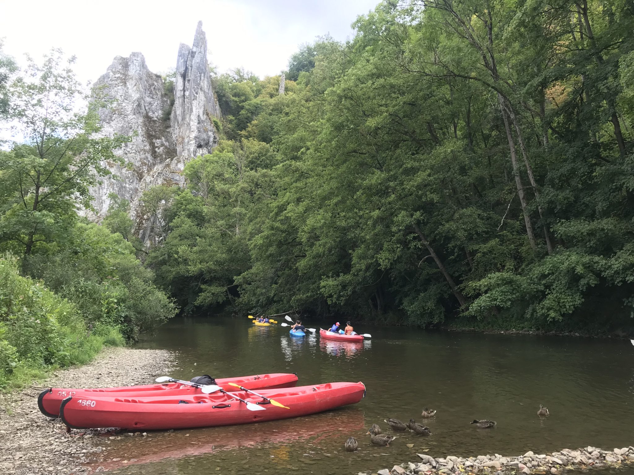 Sur quels fleuves et rivières estil autorisé de faire du canoëkayak