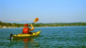 canoe, kayak, lake, water